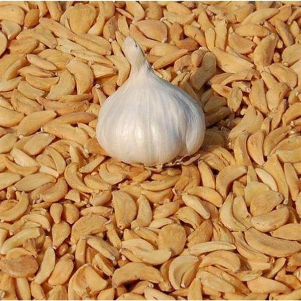 Dehydrated Garlic Cloves / Dehydrated Garlic Flakes / Dehydrated Garlic Kibbled Export Quality